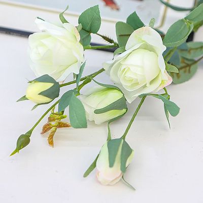 슈마켓 로즈 에스메랄다가지 화이트1P(WFIT0IE)