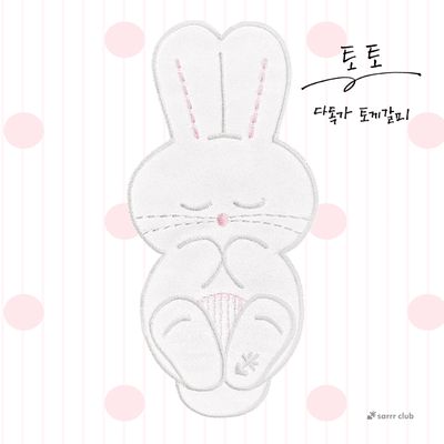 다독가 토끼갈피 토토