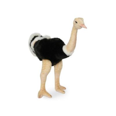 3630 타조 동물인형/32cm.H