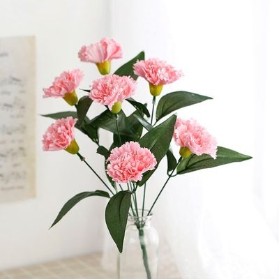 빅 카네이션 부쉬(연핑크-7송이)