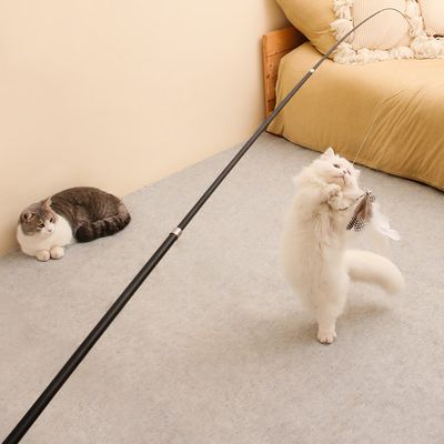 고양이 장대 낚시대 스틱 가능한 고양이 낚시대