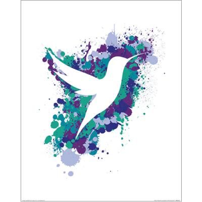 PPR43556 스플래터 실루엣 허밍버드 (40x50)