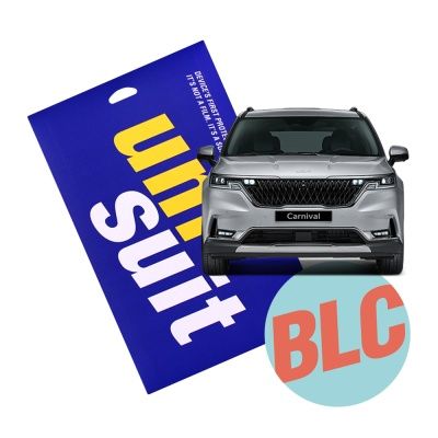 카니발 4세대 파노라마 네비+계기판 안티블루 각 1매