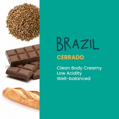 500g 브라질 세하도 당일로스팅 원두커피 탕비실