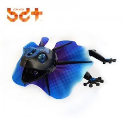 반디 목도리도마뱀(WDB51F6)