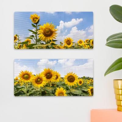 da693-폼아크릴액자38CmX18Cm_하늘을바라보는해바라기