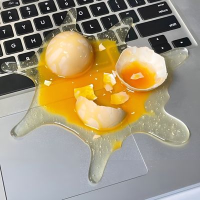 가짜 달걀 계란 웃긴 선물 마니또 신박한 이색 특이한