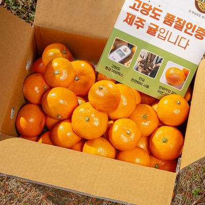 [대한민국농수산] 제주 감귤 중대과 대용량 특가