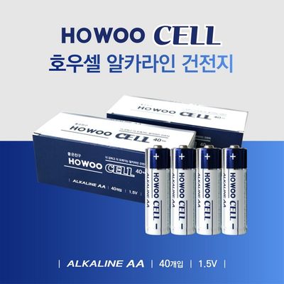 알카라인 건전지(AA 40개입 호우셀)
