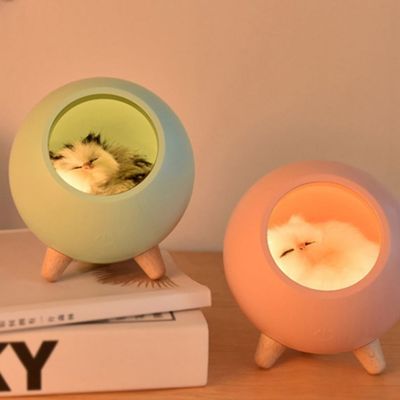 예쁜 인테이어소품 캣 LED 무드등 센(WCE11B6)