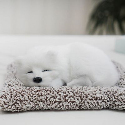 강아지 제습 탈취제