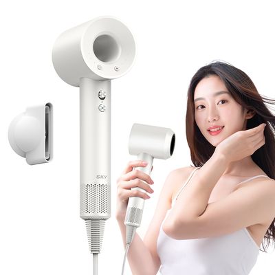 스카이  음이온 BLDC 초강력 헤어 드라이기 D10A
