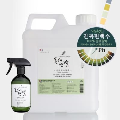동해편백 피톤치드 새집증후군 탈 잎편백수 원액 2L
