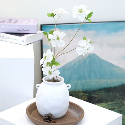 슈마켓 루고사 로즈가지 화이트1P(WFIT0ID)