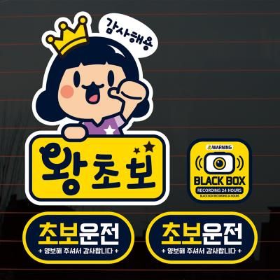 칼라자동차스티커S2_C007_아리 왕초보 감사해용