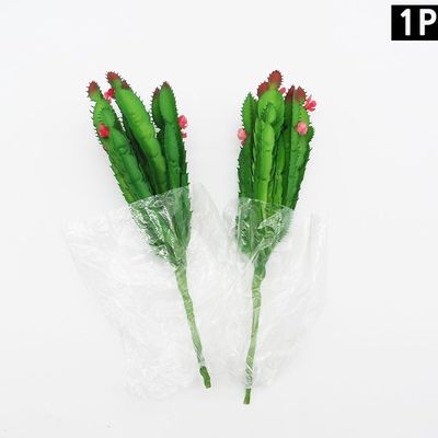 다육이조화 선인장 인테리어소품(WD3B737)