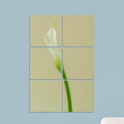 ig612-멀티액자_칼라꽃(세로형)