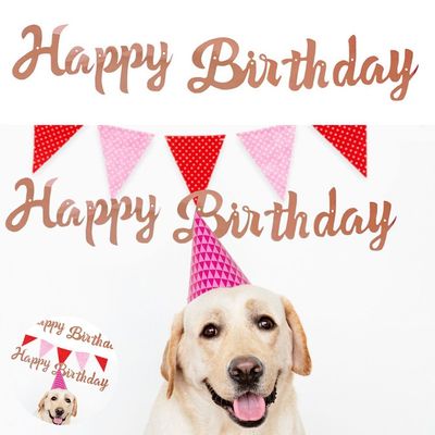 해피버스데이가랜드 생일가랜드 펫 이벤트 생일 해피버스데이 흘림체 로즈골드 가랜드(WFPHHQ3)
