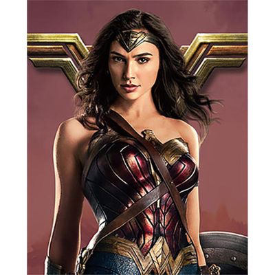 보석십자수 DC코믹스 원더우먼 캔버스 40x50