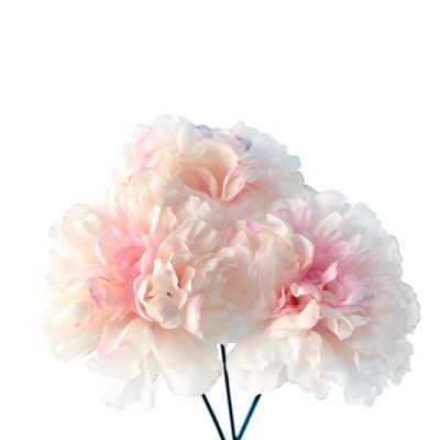 시즈넬 디퓨저 플라워스틱 지니아 핑크 3개