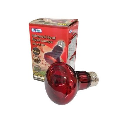 파충류 히팅 스팟 램프50W(WEEC4C9)
