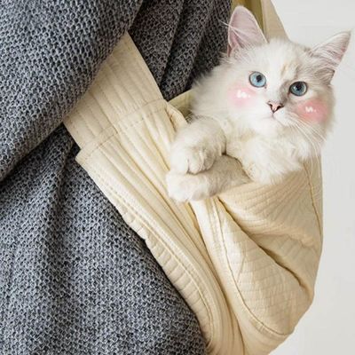 반려 동물 슬링백 강아지 이동 가방 고양이이 동장