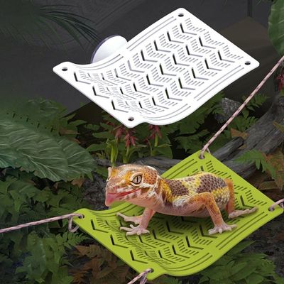 [와인앤쿡]파충류 사육장 침대 쉼터