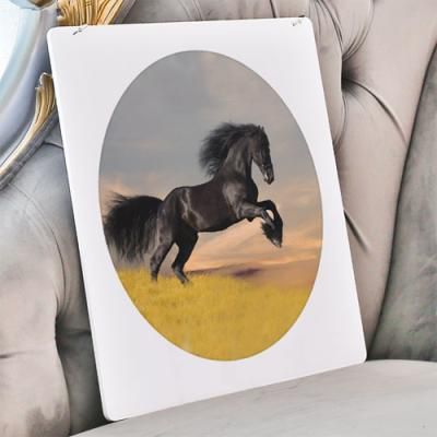 nu135-행잉액자_풍수승진진급의말(사각원형)