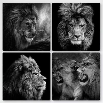 tf399-멀티액자_사자의카리스마