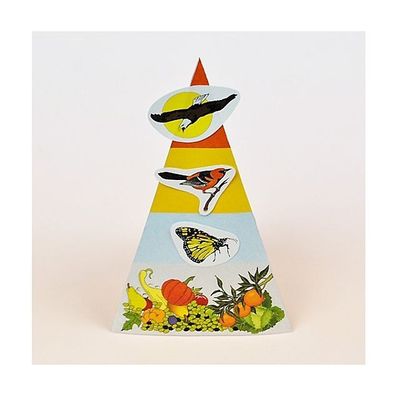 먹이사슬 삼각형 10명 set(W5F799A)