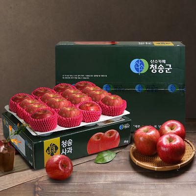 [산소카페] 산지직송 청송 꿀사과(정품) 5kg/16개내