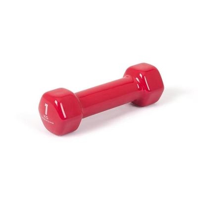 아이워너 논슬립 PVC 아령 덤벨 1kg 미용 홈트