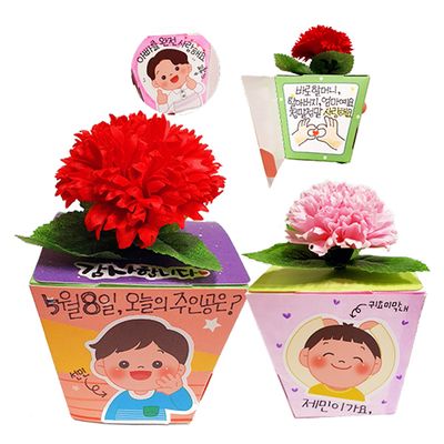 우리가족 카네이션 메세지화분