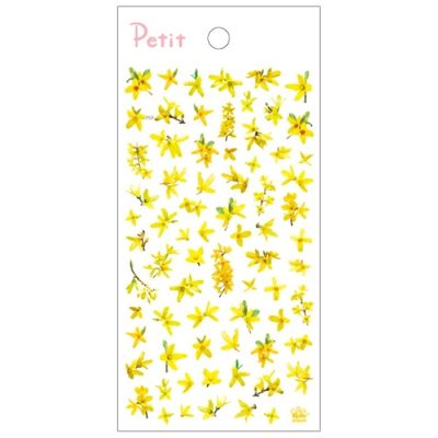 PD943 Forsythia