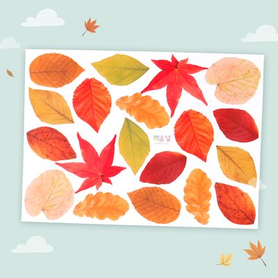 [미술샘] DIY 가을 낙엽 조화 스티커 (실사 크기)