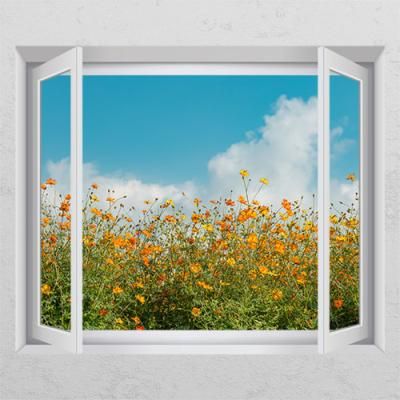 bh761-하늘황화코스모스_창문그림액자