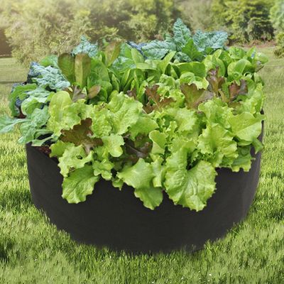 부직포 화분 가벼운 베란다 텃밭 초록가든(WFLOSKS)