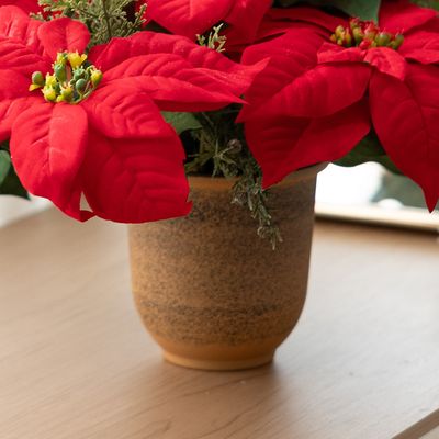 플라스틱 토분 원형 화분 리얼아크릴 12x11.5cm 장식