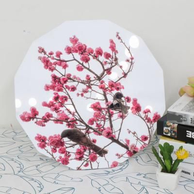 da104-폼아크릴액자38CmX38Cm12각형_새와매화나무