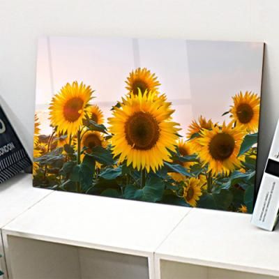 ii326-아크릴액자_일탈해바라기