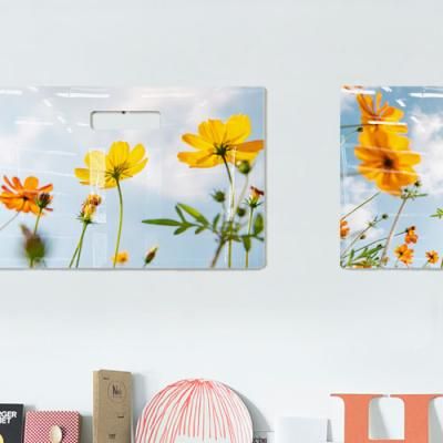 nt091-행잉액자_황화코스모스(가로대형)