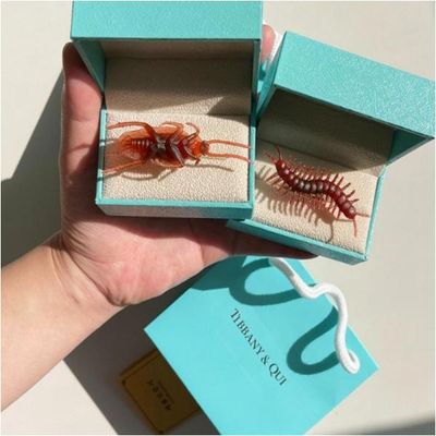 깜짝 선물 바선생 서프라이즈 마니또 신박한 BB0377