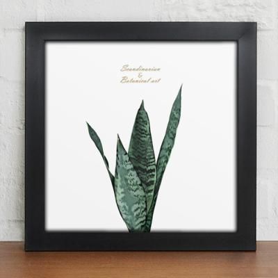 iw336-북유럽식물아트_소_인테리어액자