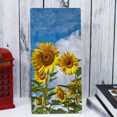 ie703-폼아크릴액자18CmX38Cm_파란하늘해바라기