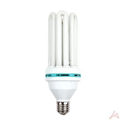 장수 고와트 삼파장 100W 주광색 435933(WFFWC8R)