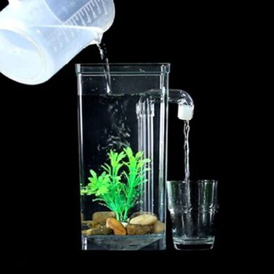 물갈이 어항 구피 베타 열대어 물고기(WFAD997)