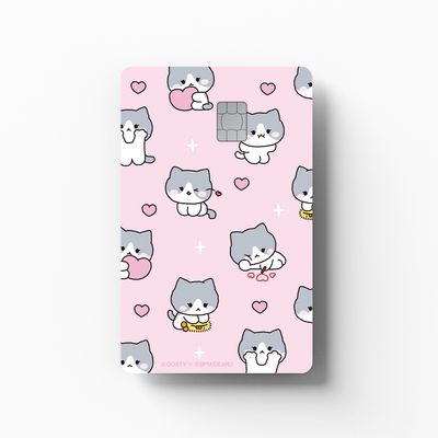 꿍댕 - 꿍이의 하루 카드커버 스티커
