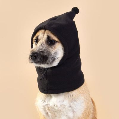 강아지 고양이 코스튬 모자 할로원 해피파티 펫 이벤트 장식품(WFLBFT0)