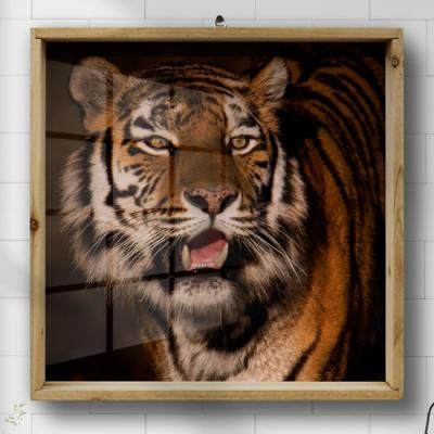 tf753-우드프레임액자_카리스마호랑이의눈빛