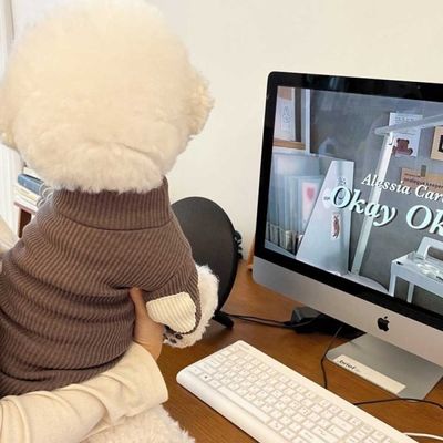 강아지 사계절 부드러운 스웨이드 원단 실내 옷 패션[